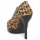 Παπούτσια Γυναίκα Γόβες Paco Gil DRIST Leopard / Black