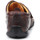 Παπούτσια Άνδρας Χαμηλά Sneakers Timberland Palladian 70551 Brown