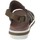 Παπούτσια Γυναίκα Σανδάλια / Πέδιλα Mjus 877002 Brown