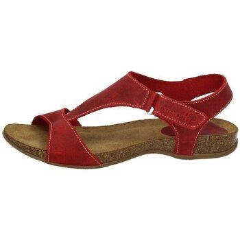 Παπούτσια Γυναίκα Σανδάλια / Πέδιλα Interbios  Red