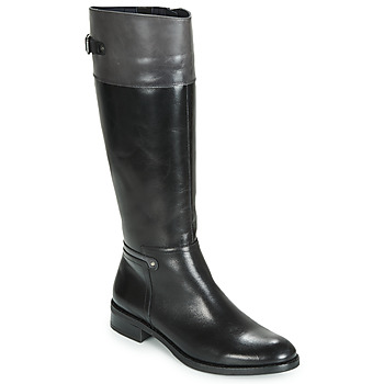 Παπούτσια Γυναίκα Μπότες για την πόλη Dorking TIERRA Black / Grey