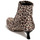 Παπούτσια Γυναίκα Μποτίνια Katy Perry THE BRIDGETTE Leopard