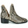 Παπούτσια Γυναίκα Μπότες Steve Madden CONSPIRE Beige / Python