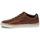Παπούτσια Χαμηλά Sneakers Polo Ralph Lauren HANFORD Cognac