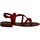 Παπούτσια Γυναίκα Σανδάλια / Πέδιλα Iota FIRENZA Red