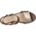 Παπούτσια Γυναίκα Σανδάλια / Πέδιλα Stonefly SWEET III 1 Brown