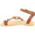 Παπούτσια Γυναίκα Σανδάλια / Πέδιλα Attica Sandals APHRODITE CALF DK-BROWN Brown