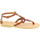 Παπούτσια Γυναίκα Σανδάλια / Πέδιλα Attica Sandals GAIA CALF DK-BROWN Brown