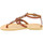 Παπούτσια Γυναίκα Σανδάλια / Πέδιλα Attica Sandals GAIA CALF DK-BROWN Brown