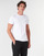 Υφασμάτινα Άνδρας T-shirt με κοντά μανίκια Lacoste TH6709 Άσπρο