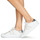 Παπούτσια Γυναίκα Χαμηλά Sneakers Geox D PONTOISE Άσπρο / Silver