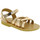 Παπούτσια Άνδρας Σανδάλια / Πέδιλα Attica Sandals HEBE CALF GOLD PINK Oro rosa