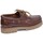 Παπούτσια Άνδρας Boat shoes CallagHan 24149-24 Brown
