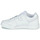 Παπούτσια Γυναίκα Χαμηλά Sneakers Reebok Classic WORKOUT LO PLUS Άσπρο