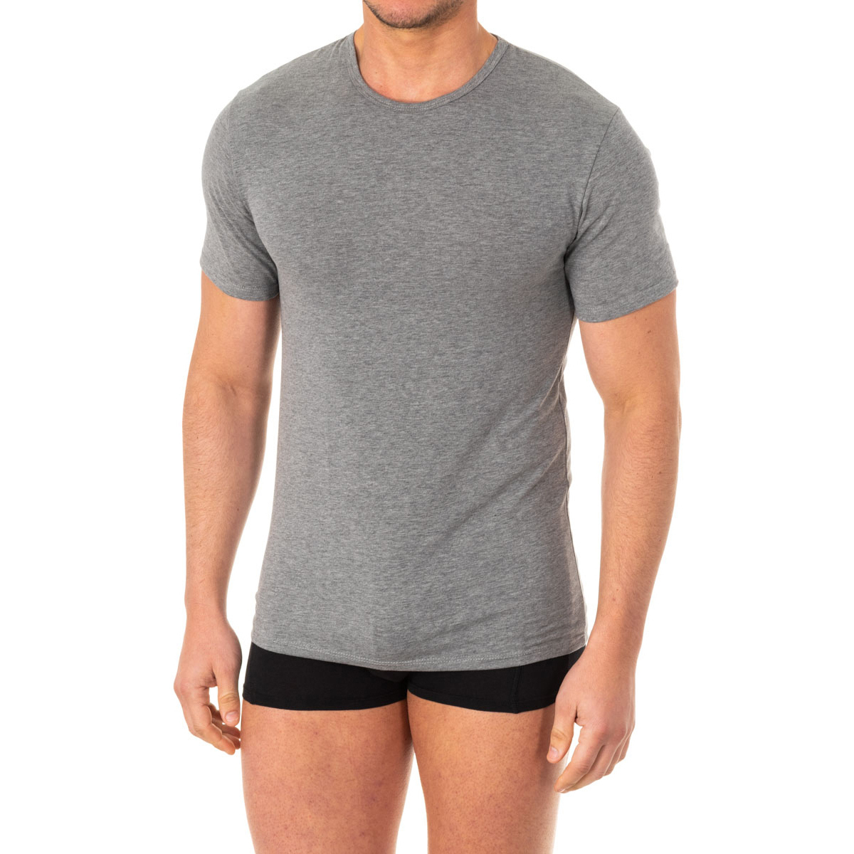 Υφασμάτινα Άνδρας T-shirt με κοντά μανίκια Abanderado A040W-GRIS-VIGORE Grey