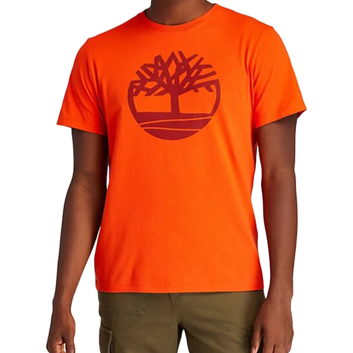 Timberland  T-shirt με κοντά μανίκια Timberland 164207