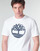 Υφασμάτινα Άνδρας T-shirt με κοντά μανίκια Timberland SS KENNEBEC RIVER BRAND TREE TEE Άσπρο