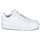 Παπούτσια Παιδί Χαμηλά Sneakers Nike COURT BOROUGH LOW 2 GS Άσπρο