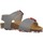 Παπούτσια Αγόρι Σανδάλια / Πέδιλα Garvalin 202475 Grey
