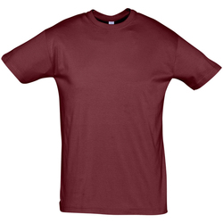 Υφασμάτινα Άνδρας T-shirt με κοντά μανίκια Sols REGENT COLORS MEN Burdeo