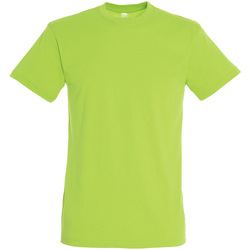 Υφασμάτινα Άνδρας T-shirt με κοντά μανίκια Sols REGENT COLORS MEN Verde