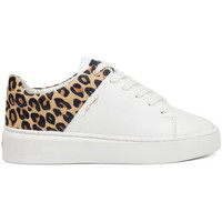 Παπούτσια Γυναίκα Sneakers Ed Hardy - Wild low top white leopard Άσπρο
