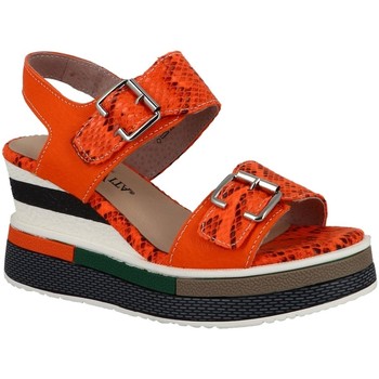 Παπούτσια Γυναίκα Σανδάλια / Πέδιλα Laura Vita DACDDYO 271 Orange