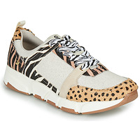 Παπούτσια Γυναίκα Χαμηλά Sneakers Gioseppo CREAZZO Leopard