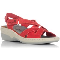 Παπούτσια Γυναίκα Σανδάλια / Πέδιλα Interbios 3017 Red