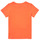 Υφασμάτινα Αγόρι T-shirt με κοντά μανίκια Name it NMMFANO Orange