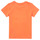 Υφασμάτινα Αγόρι T-shirt με κοντά μανίκια Name it NMMFASHO Orange