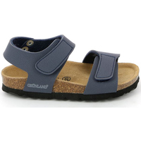 Παπούτσια Παιδί Σανδάλια / Πέδιλα Grunland SB0014 Μπλέ