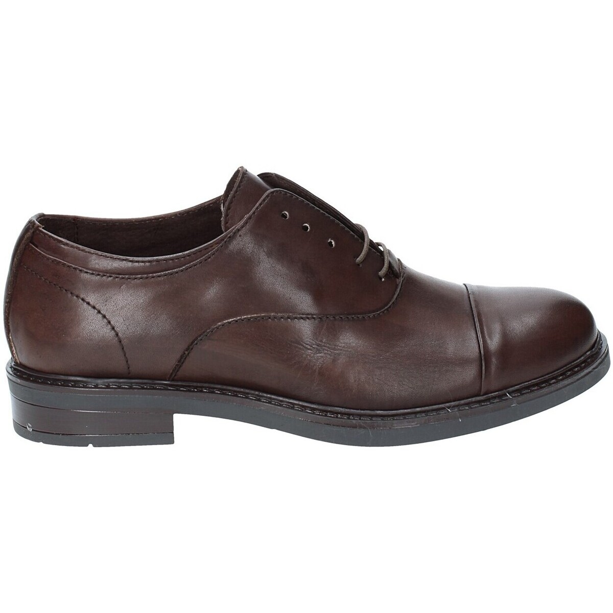 Oxfords Rogers 1236