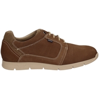 Παπούτσια Άνδρας Sneakers Baerchi 5080 Brown