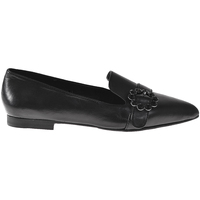 Παπούτσια Γυναίκα Μοκασσίνια Elvio Zanon I3203B Black