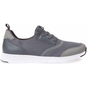 Παπούτσια Άνδρας Sneakers Geox U822DA 01447 Grey
