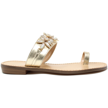 Παπούτσια Γυναίκα Σαγιονάρες Gold&gold A19 GL303 