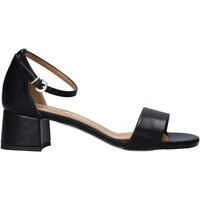 Παπούτσια Γυναίκα Σανδάλια / Πέδιλα Grace Shoes 809001 Black