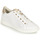 Παπούτσια Γυναίκα Χαμηλά Sneakers Geox D JAYSEN B Άσπρο / Gold