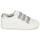 Παπούτσια Γυναίκα Χαμηλά Sneakers Geox D PONTOISE C Άσπρο / Silver