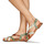 Παπούτσια Γυναίκα Σανδάλια / Πέδιλα Pikolinos ALGAR W0X Brown / Green