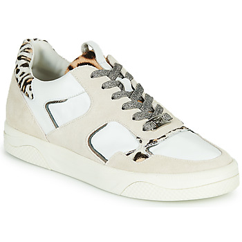 Παπούτσια Γυναίκα Χαμηλά Sneakers Mam'Zelle ARTIX Άσπρο / Leopard