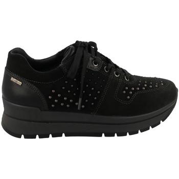 Παπούτσια Γυναίκα Χαμηλά Sneakers IgI&CO  Black