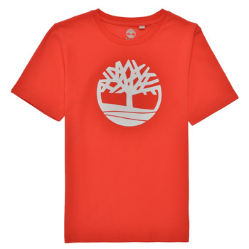 Υφασμάτινα Αγόρι T-shirt με κοντά μανίκια Timberland LOLLA Red