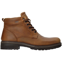 Παπούτσια Άνδρας Μπότες IgI&CO 4122422 Brown
