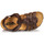 Παπούτσια Αγόρι Σανδάλια / Πέδιλα Citrouille et Compagnie JANISOL Brown / Fonce