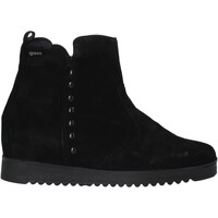 Παπούτσια Γυναίκα Μπότες IgI&CO 6155033 Black
