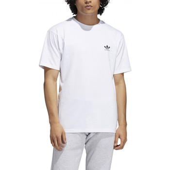 Υφασμάτινα T-shirts & Μπλούζες adidas Originals 2.0 logo ss tee Άσπρο