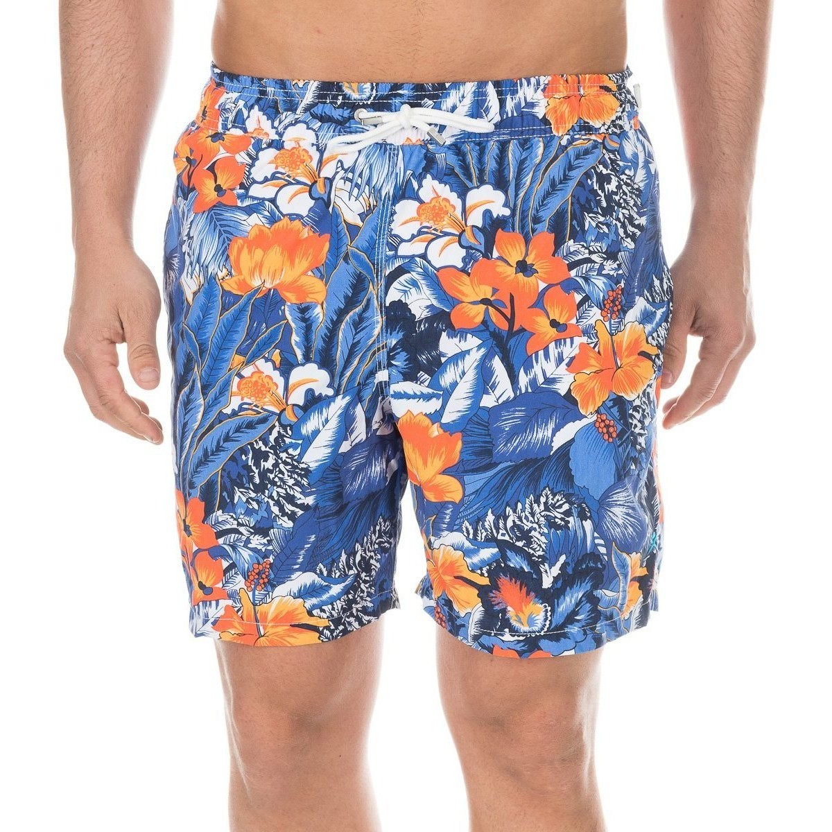 Υφασμάτινα Άνδρας Μαγιώ / shorts για την παραλία Hackett HM800495-0AA Multicolour