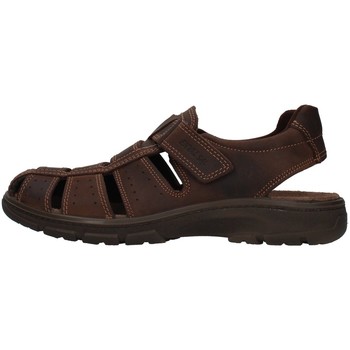 Παπούτσια Άνδρας Σανδάλια / Πέδιλα Enval 7219111 Brown